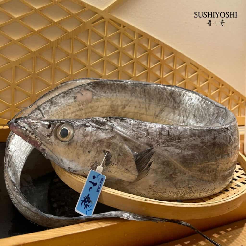 sushiyoshi Cutlassfish